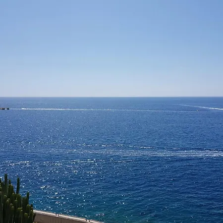 With Terrace Facing Apartament